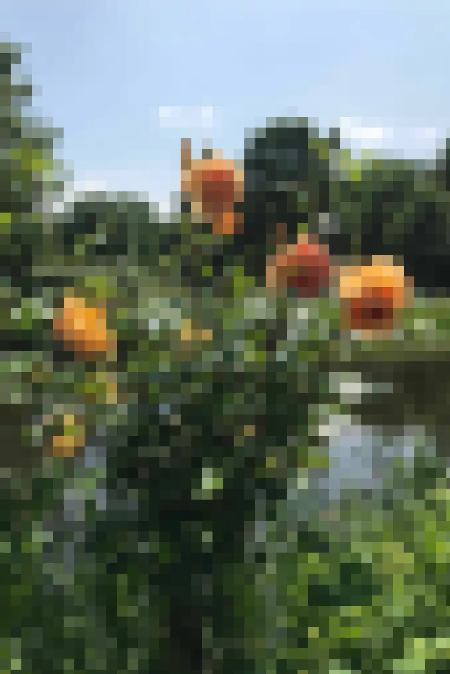 Brugwacht 162 Leiderdorp thumbnail 57