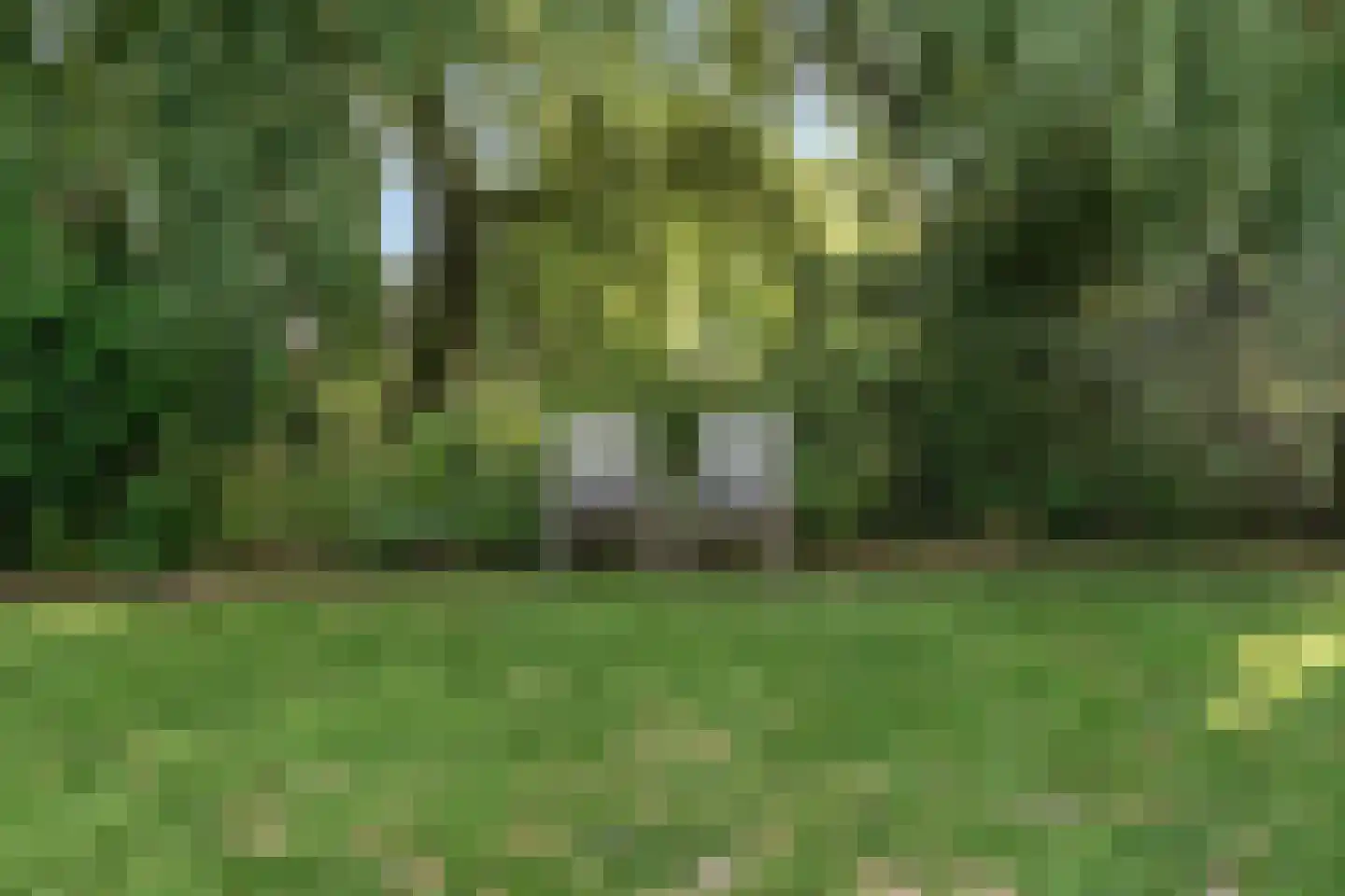 Brugwacht 162 Leiderdorp thumbnail 58