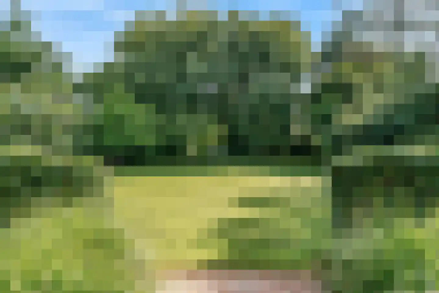 Brugwacht 162 Leiderdorp thumbnail 59