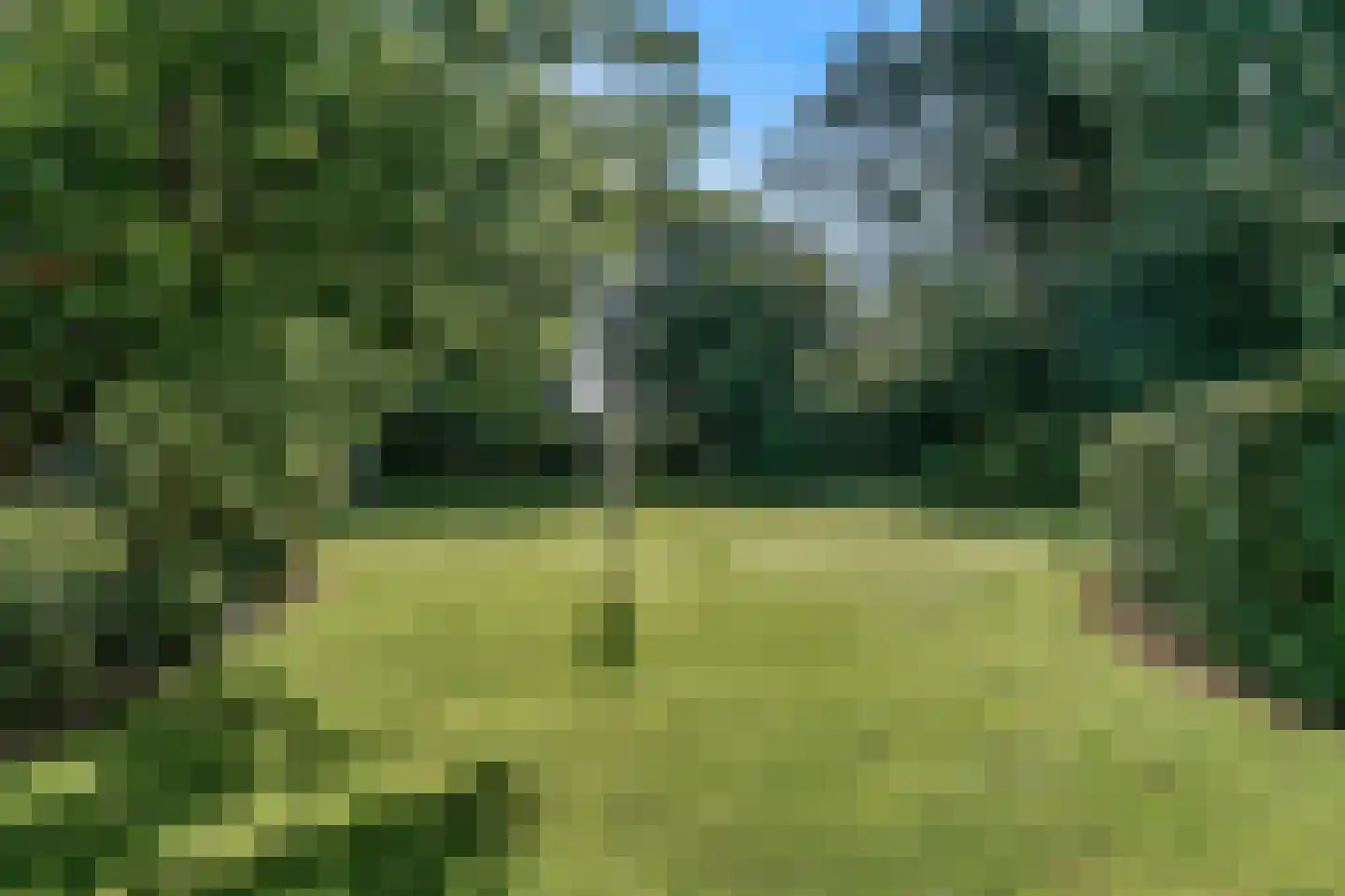 Brugwacht 162 Leiderdorp thumbnail 60