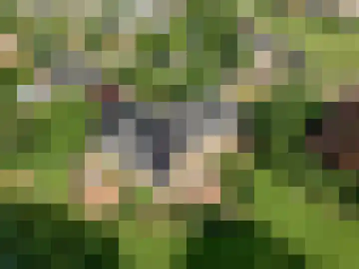 Brugwacht 162 Leiderdorp thumbnail 64