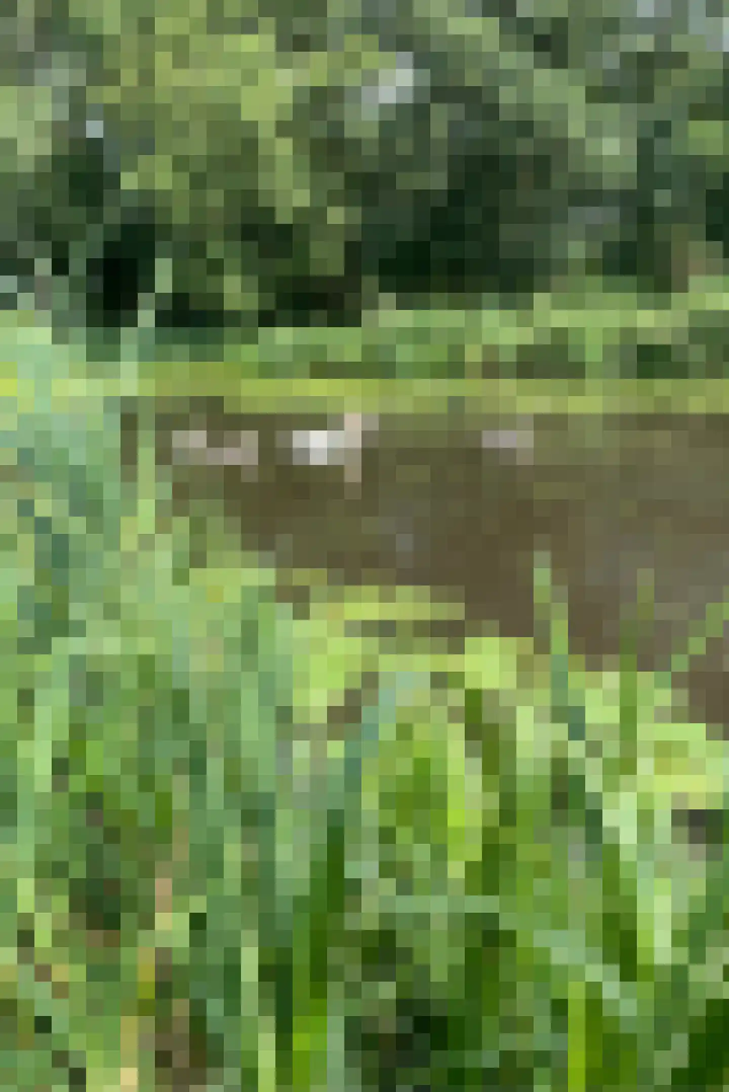 Brugwacht 162 Leiderdorp thumbnail 67