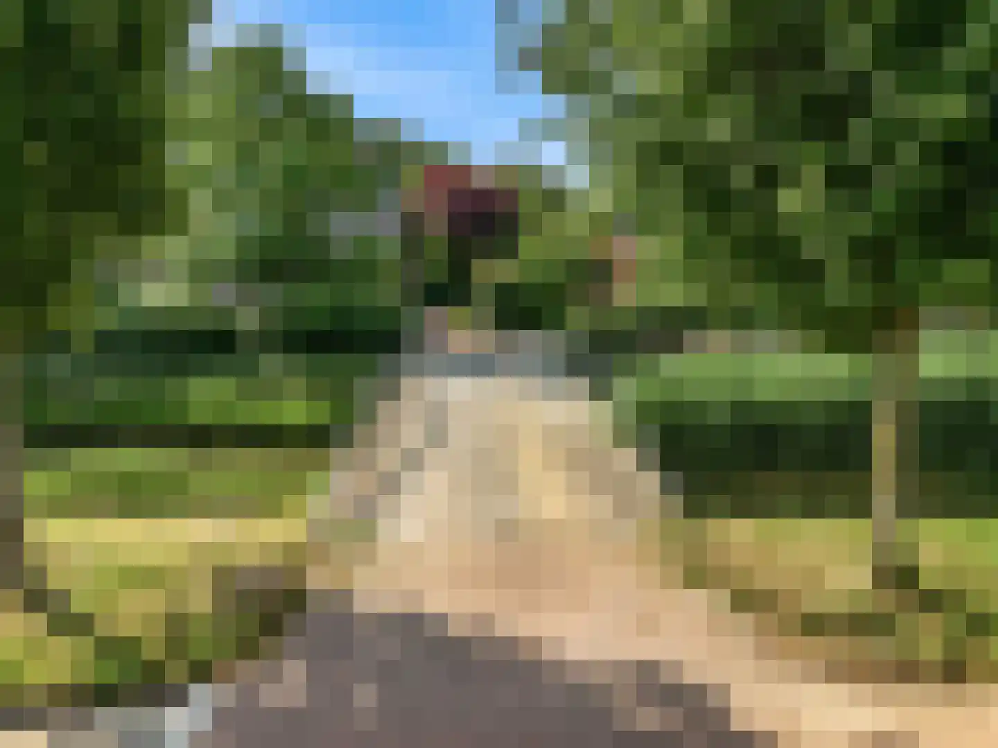 Brugwacht 162 Leiderdorp thumbnail 72