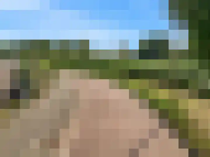 Brugwacht 162 Leiderdorp thumbnail 73