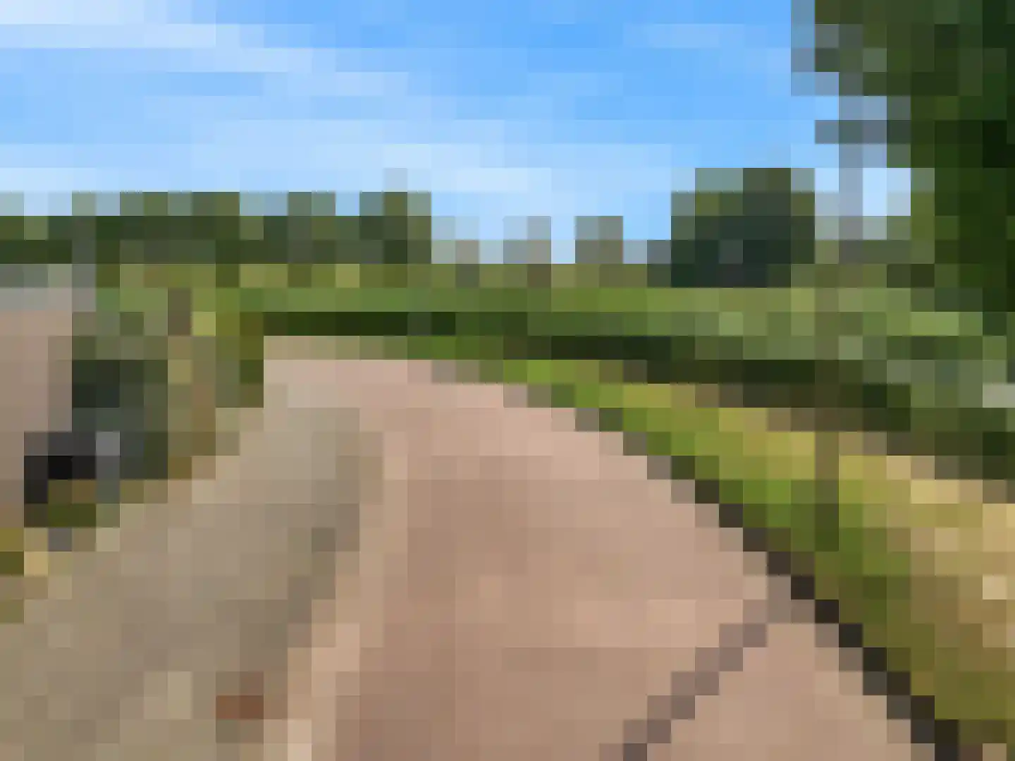 Brugwacht 162 Leiderdorp thumbnail 73