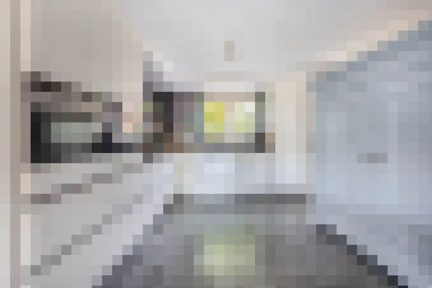 Brugwacht 164 Leiderdorp thumbnail 10