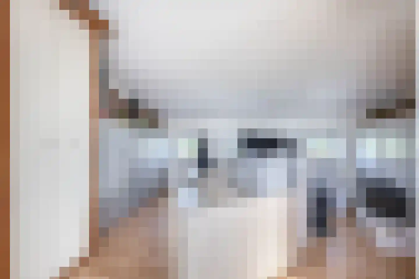 Brugwacht 164 Leiderdorp thumbnail 19