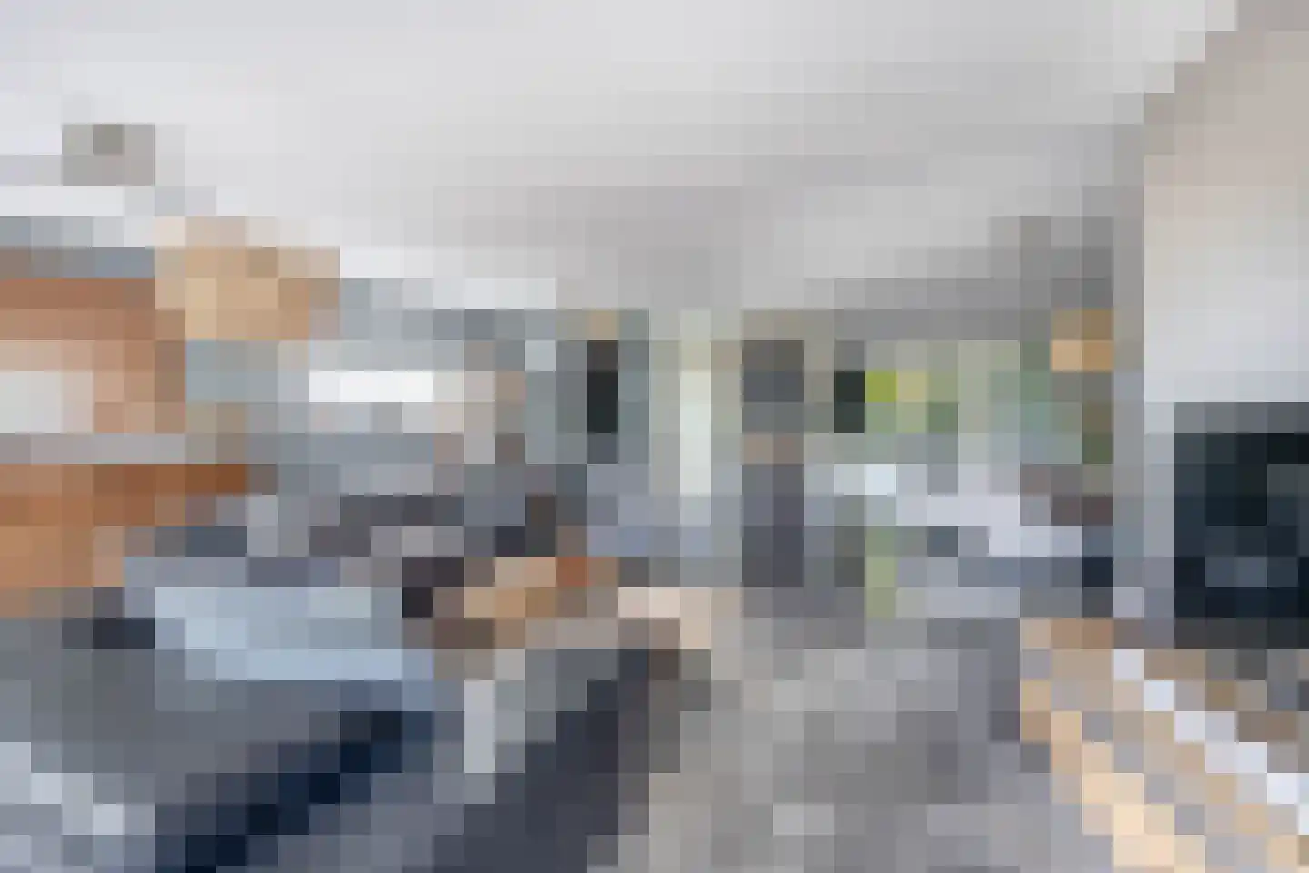 Brugwacht 164 Leiderdorp thumbnail 8