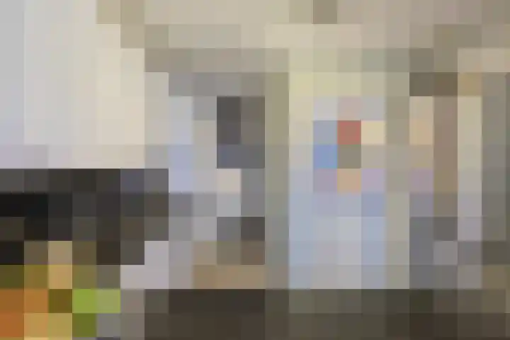 Brugwacht 32 Leiderdorp thumbnail 21
