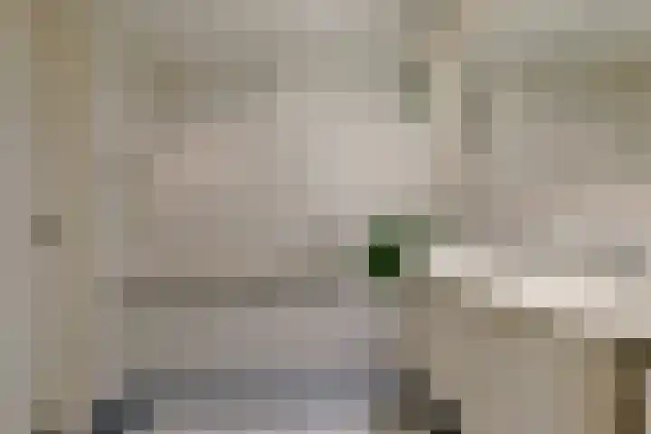 Brugwacht 32 Leiderdorp thumbnail 28