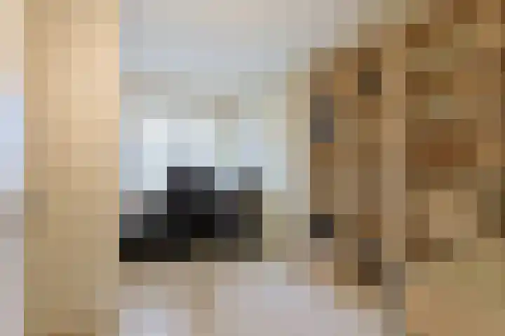 Brugwacht 32 Leiderdorp thumbnail 29