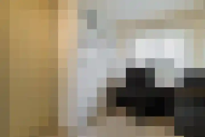 Brugwacht 32 Leiderdorp thumbnail 30