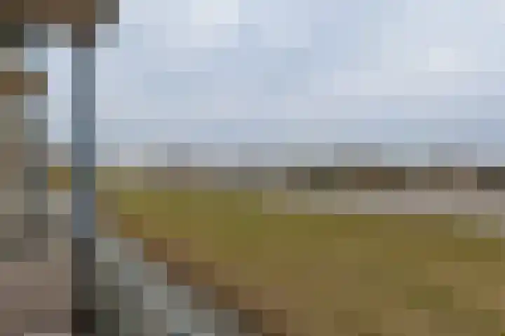 Brugwacht 32 Leiderdorp thumbnail 33