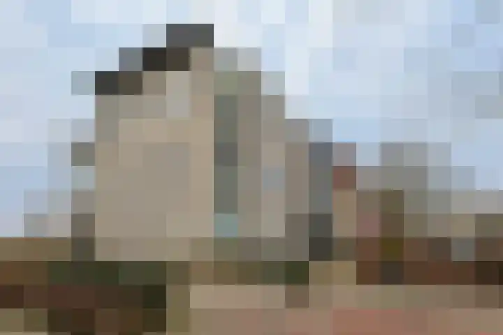 Brugwacht 32 Leiderdorp thumbnail 35