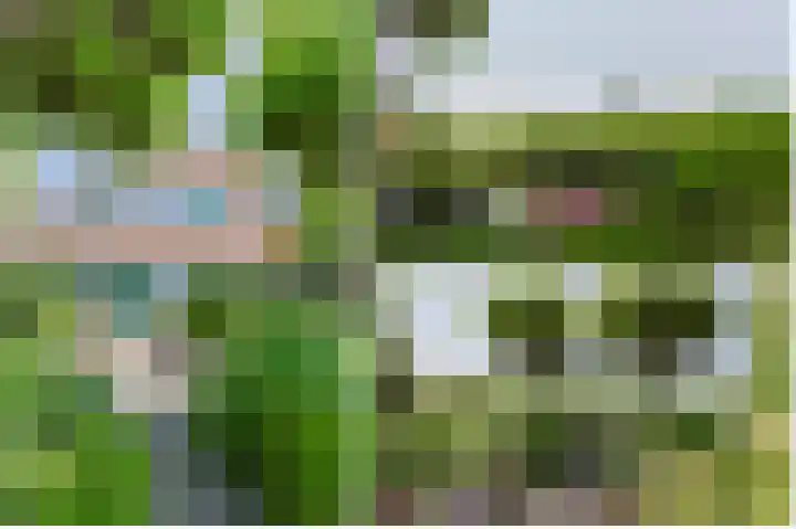 Brugwacht 74 Leiderdorp thumbnail 39