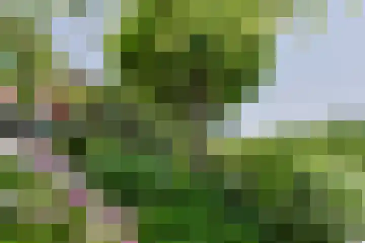 Brugwacht 74 Leiderdorp thumbnail 40