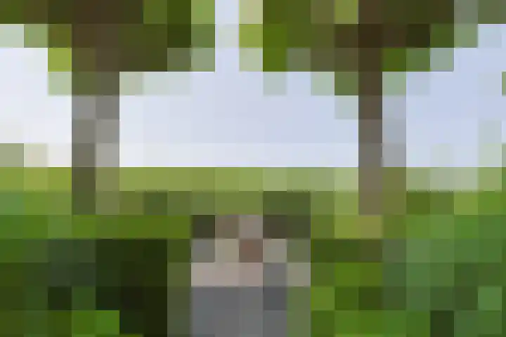 Brugwacht 74 Leiderdorp thumbnail 42