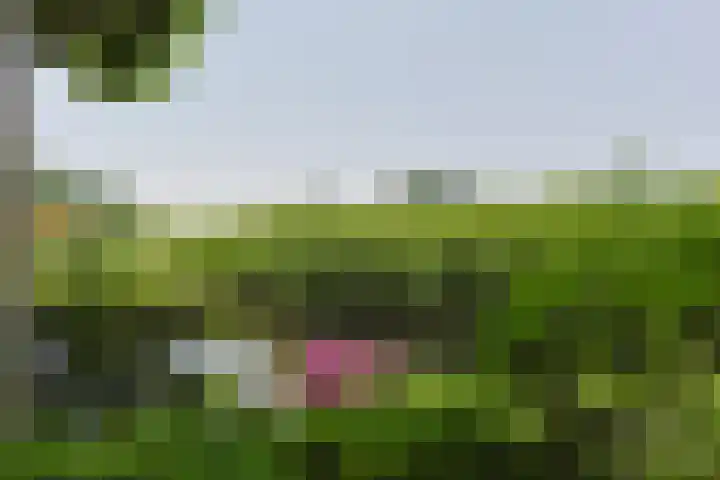 Brugwacht 74 Leiderdorp thumbnail 43