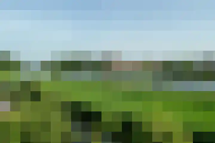Brugwacht 74 Leiderdorp thumbnail 44