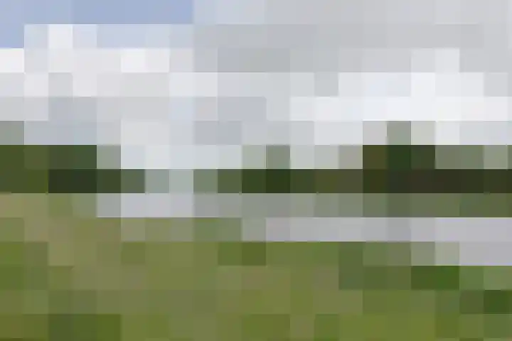 Brugwacht 74 Leiderdorp thumbnail 46
