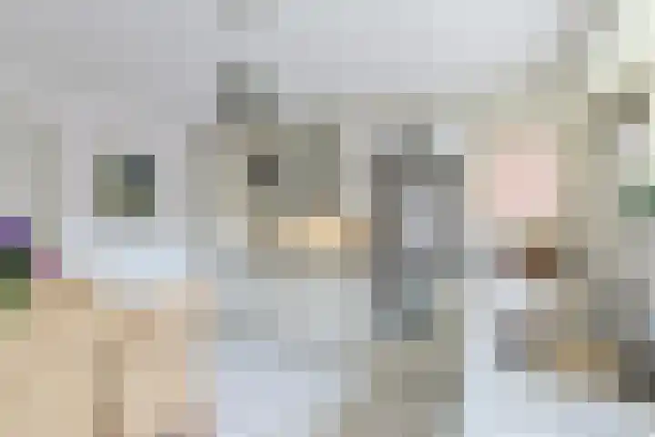 Brugwacht 74 Leiderdorp thumbnail 5