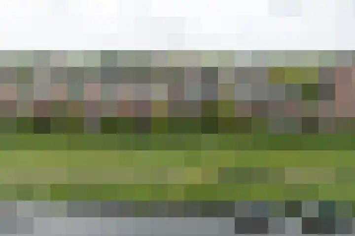 Brugwacht 74 Leiderdorp thumbnail 57