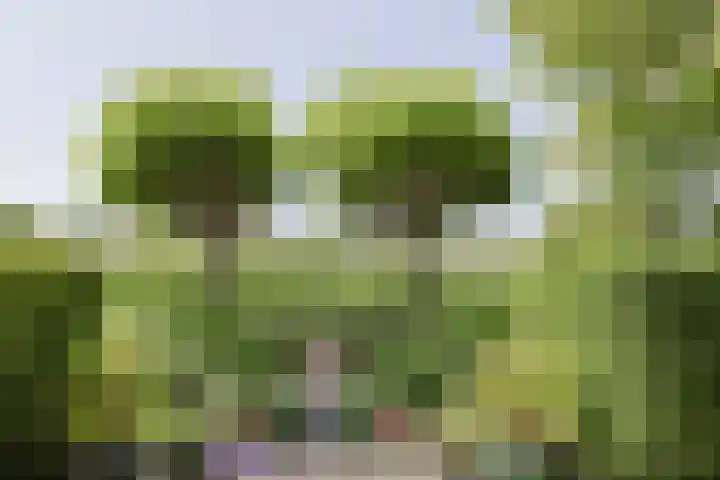 Brugwacht 74 Leiderdorp thumbnail 6