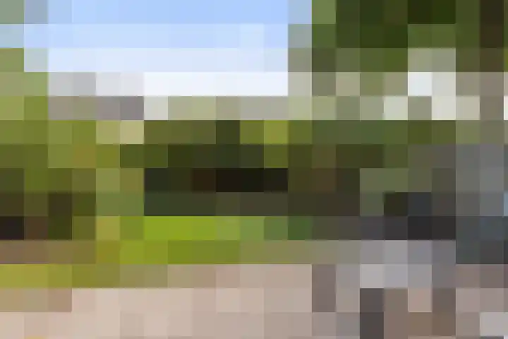 Brugwachtershoeve 17 Apeldoorn thumbnail 23