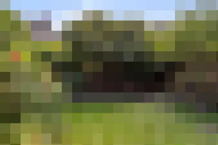 Brugwachtershoeve 17 Apeldoorn thumbnail 24