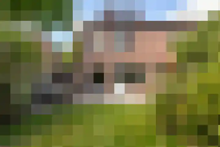 Brugwachtershoeve 17 Apeldoorn thumbnail 26