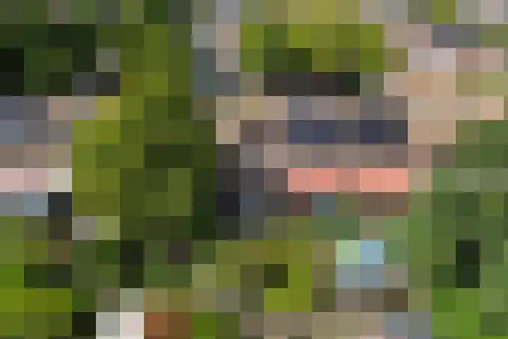 Brugwachtershoeve 17 Apeldoorn thumbnail 28