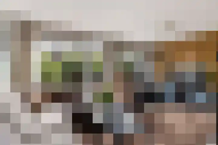 Brugwachtershoeve 17 Apeldoorn thumbnail 8