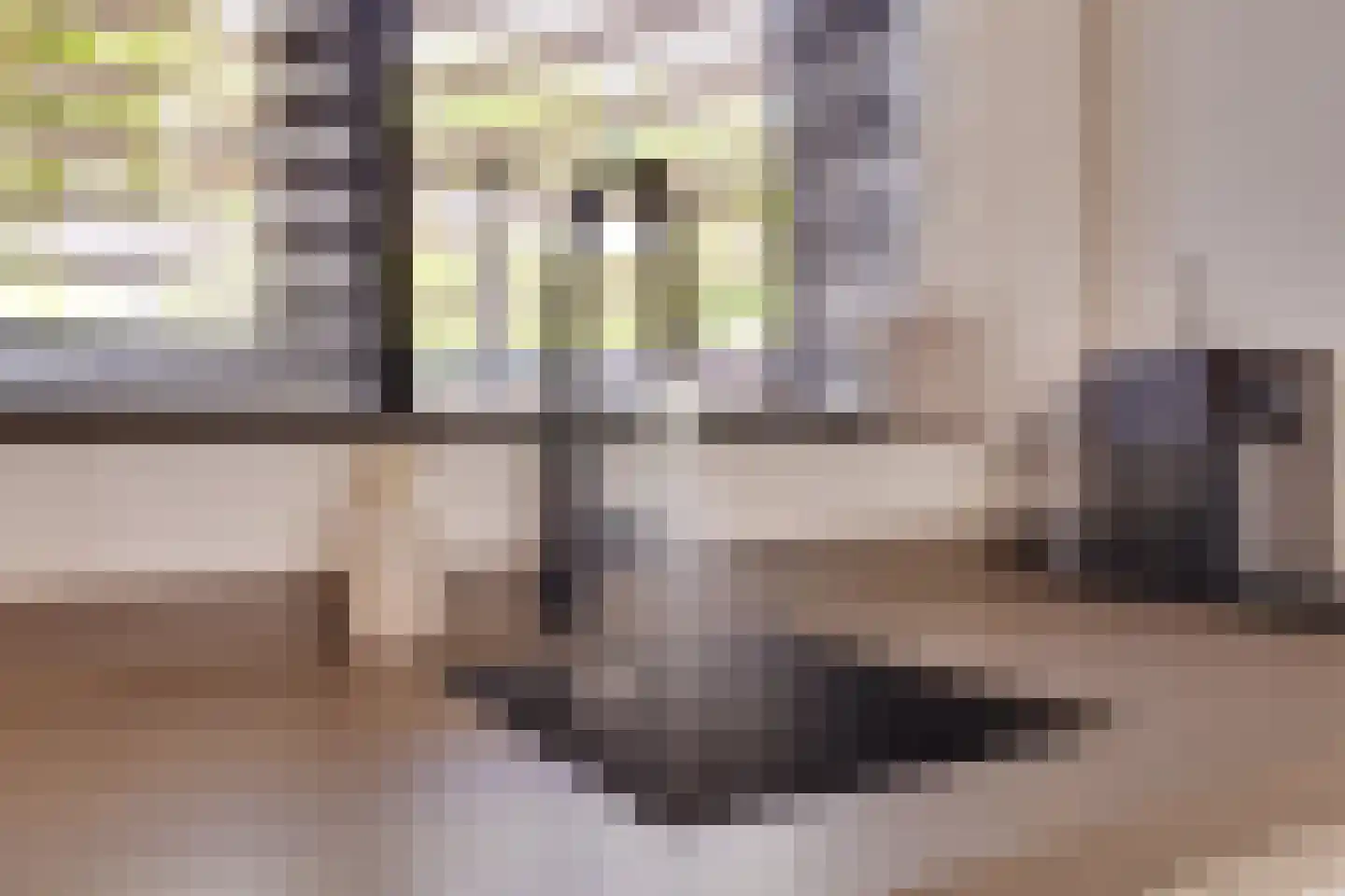 Brugwachtershoeve 210 Apeldoorn thumbnail 11