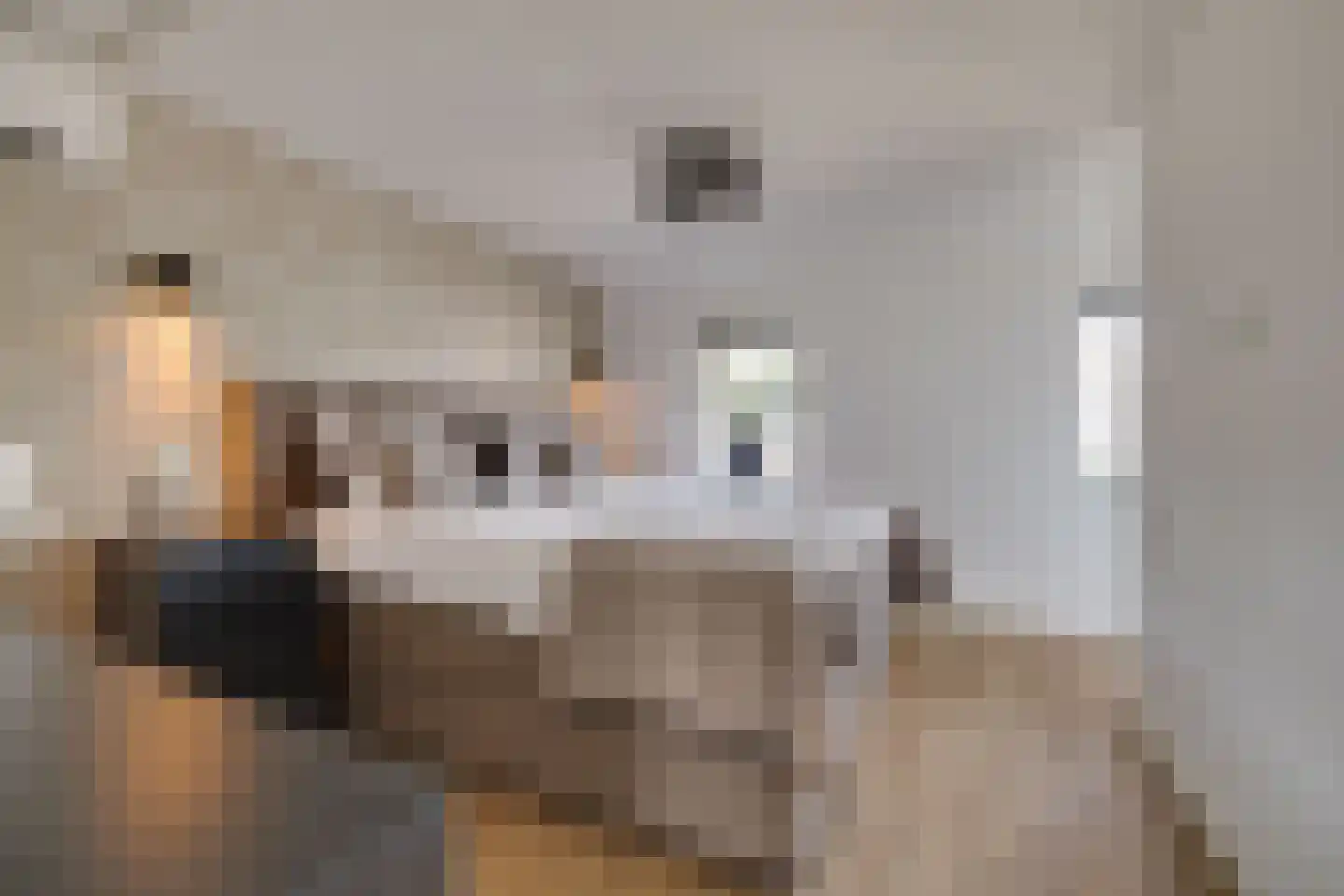 Brugwachtershoeve 210 Apeldoorn thumbnail 15
