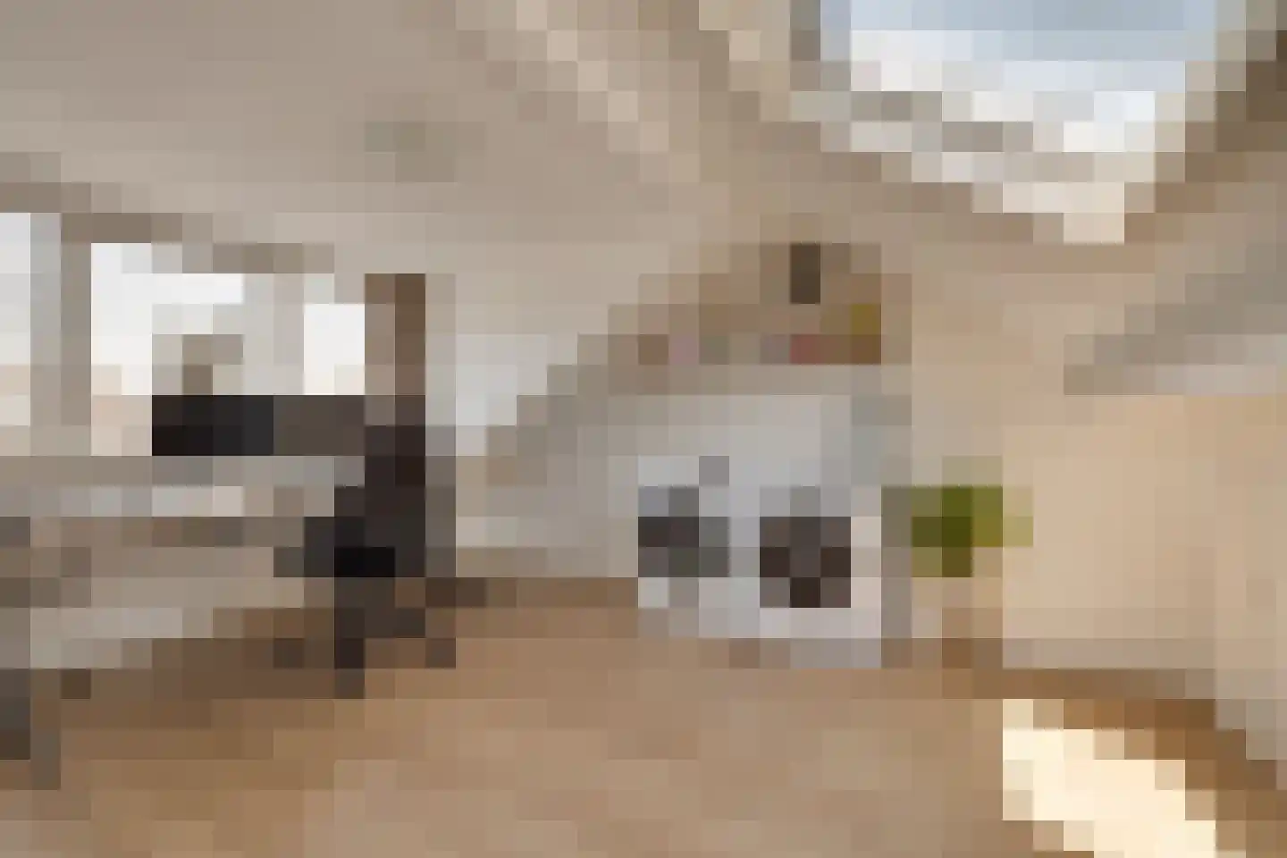 Brugwachtershoeve 210 Apeldoorn thumbnail 27