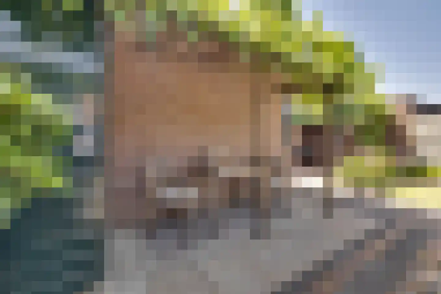 Brugwachtershoeve 210 Apeldoorn thumbnail 38