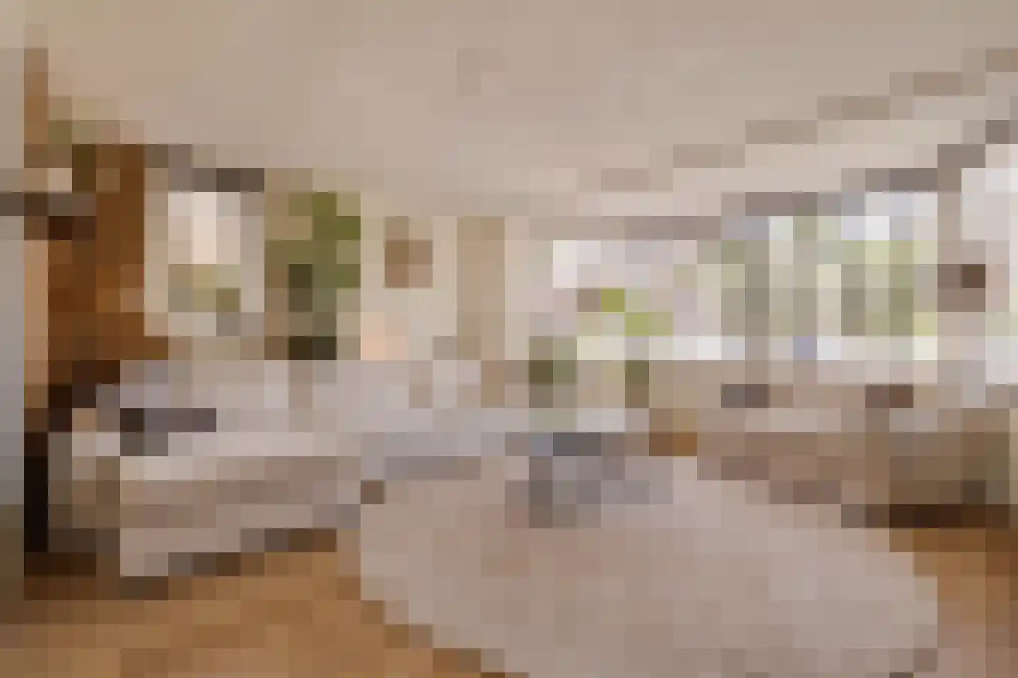 Brugwachtershoeve 210 Apeldoorn thumbnail 4