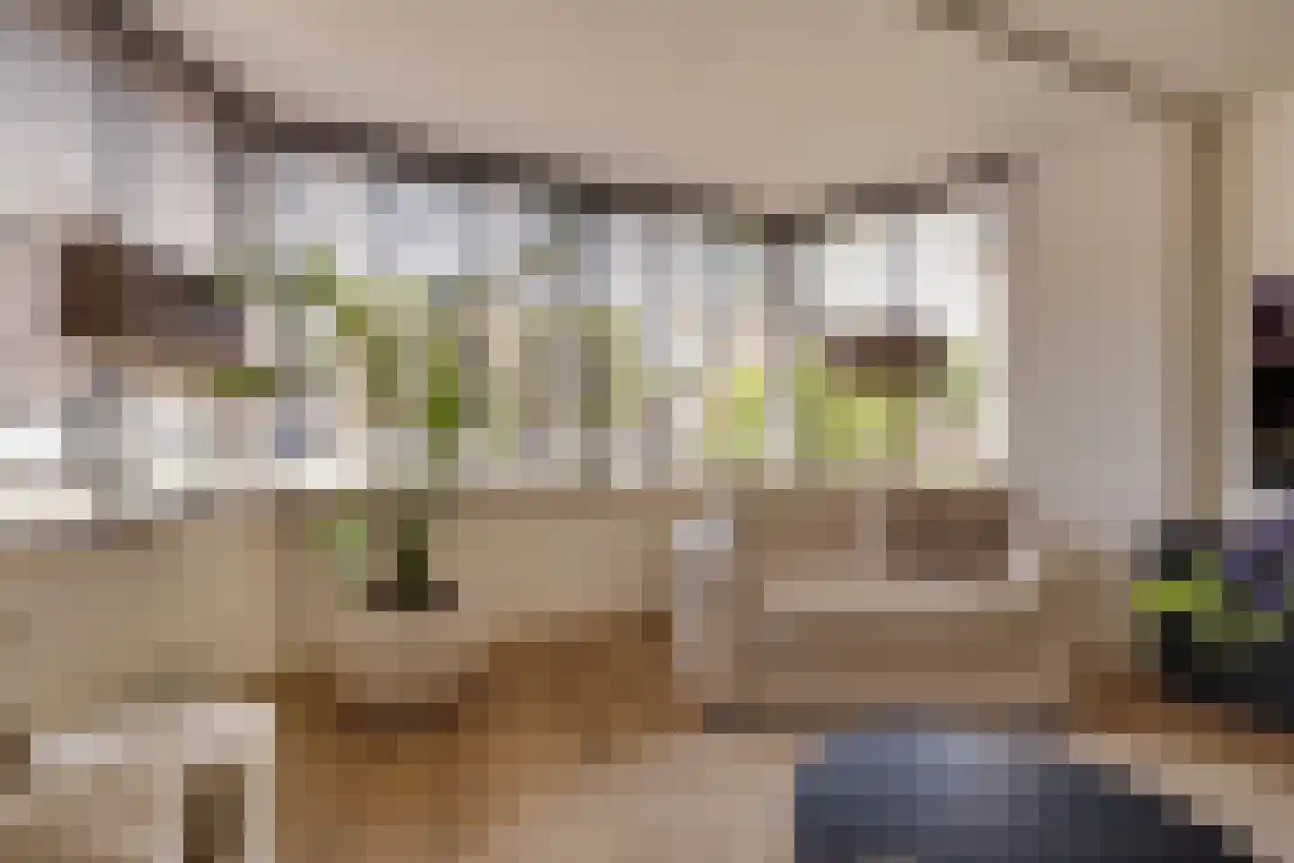 Brugwachtershoeve 210 Apeldoorn thumbnail 5
