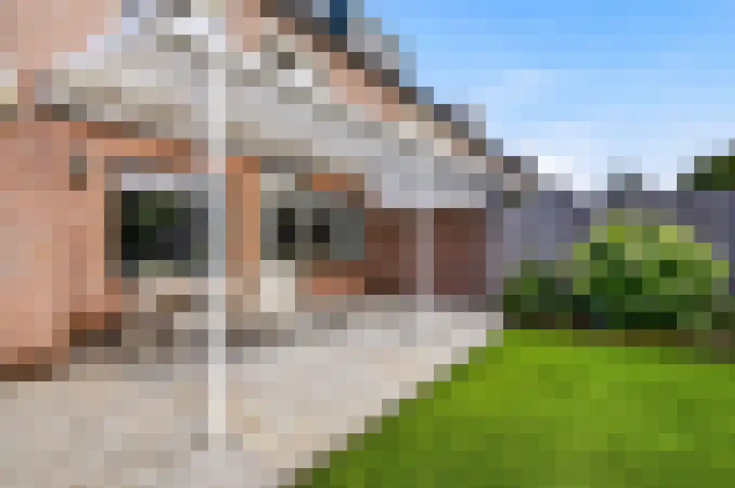 Brugwachtershoeve 25 Apeldoorn thumbnail 25