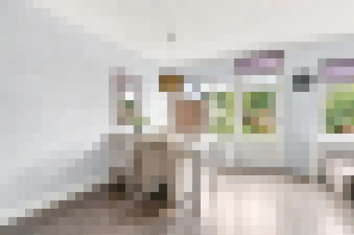 Brugwachtershoeve 25 Apeldoorn thumbnail 8