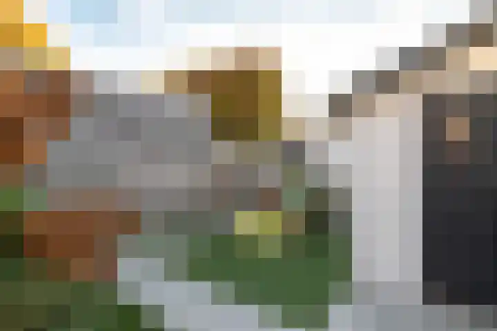 Brugwachtershoeve 303 Apeldoorn thumbnail 16