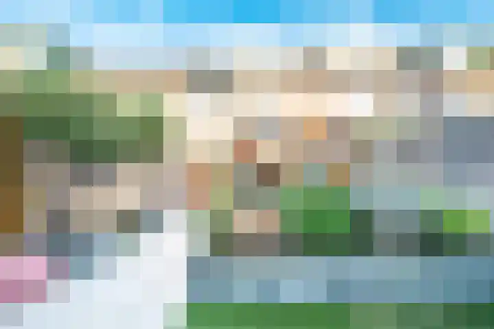 Brugwachtershoeve 303 Apeldoorn thumbnail 17