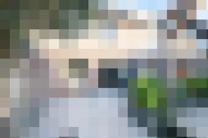 Brugwachtershoeve 303 Apeldoorn thumbnail 18
