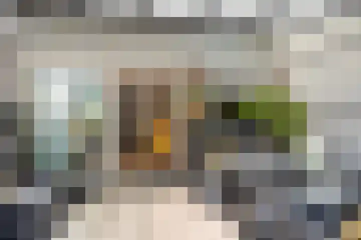Brugwachtershoeve 4 Apeldoorn thumbnail 27