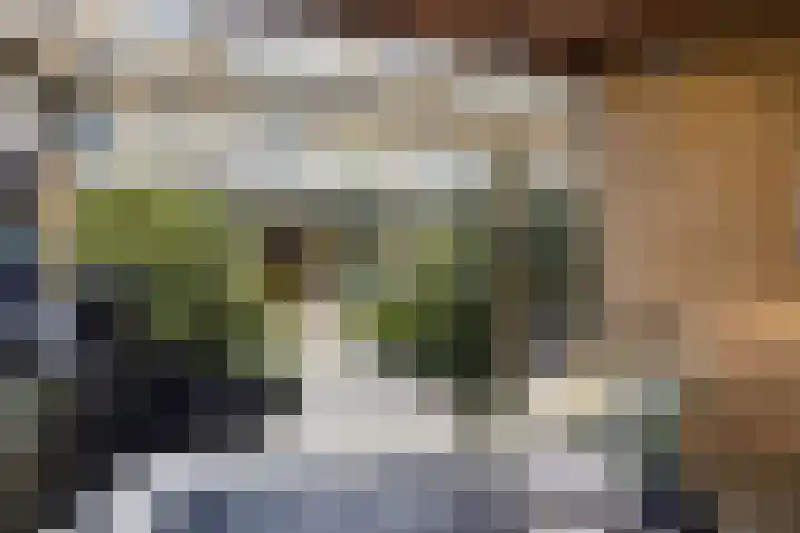 Brugwachtershoeve 4 Apeldoorn thumbnail 29