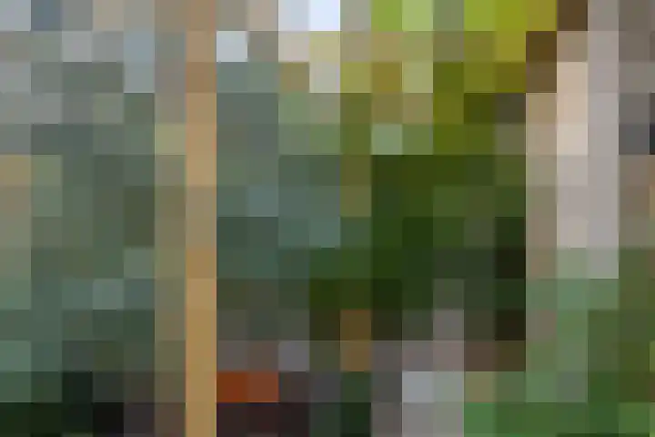 Brugwachtershoeve 4 Apeldoorn thumbnail 30