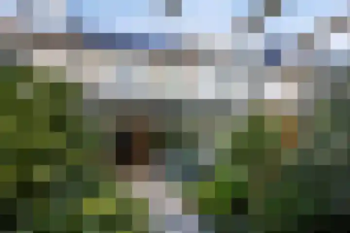 Brugwachtershoeve 4 Apeldoorn thumbnail 31