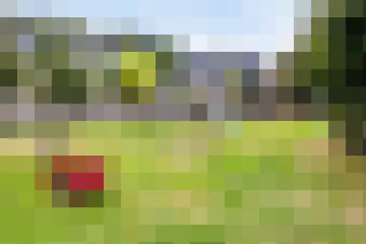 Brugwachtershoeve 4 Apeldoorn thumbnail 34