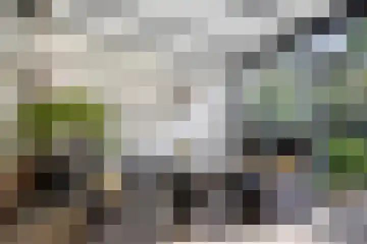 Brugwachtershoeve 4 Apeldoorn thumbnail 4