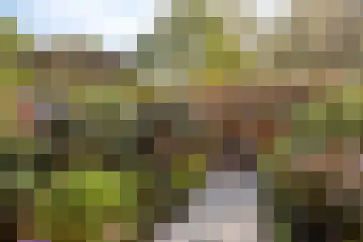Brugwachtershoeve 4 Apeldoorn thumbnail 5